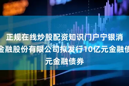 正规在线炒股配资知识门户宁银消费金融股份有限公司拟发行10亿元金融债券