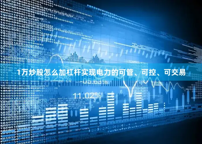 1万炒股怎么加杠杆实现电力的可管、可控、可交易