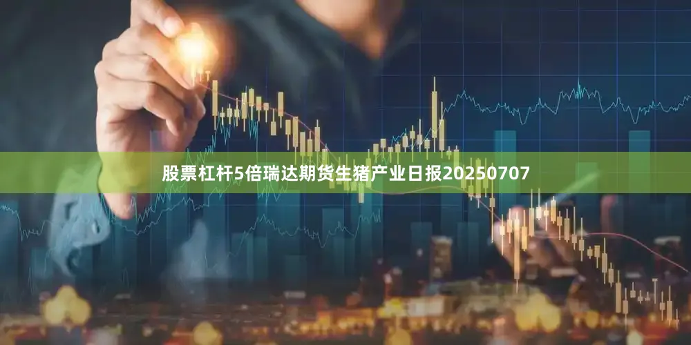 股票杠杆5倍瑞达期货生猪产业日报20250707