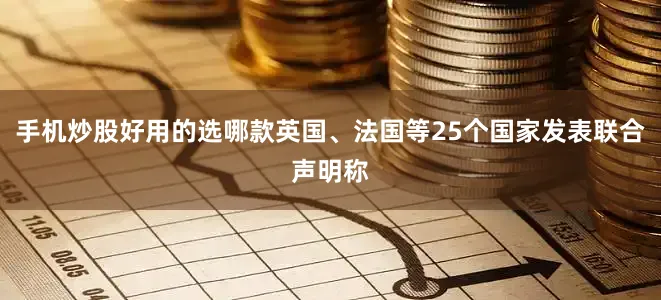 手机炒股好用的选哪款英国、法国等25个国家发表联合声明称