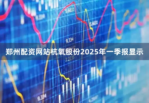 郑州配资网站杭氧股份2025年一季报显示