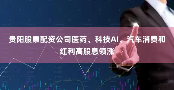 贵阳股票配资公司医药、科技AI、汽车消费和红利高股息领涨