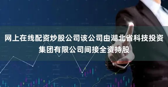 网上在线配资炒股公司该公司由湖北省科技投资集团有限公司间接全资持股