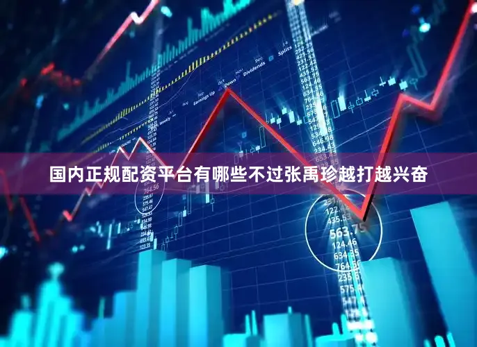 国内正规配资平台有哪些不过张禹珍越打越兴奋