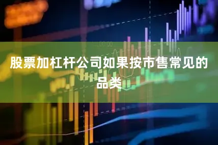 股票加杠杆公司如果按市售常见的品类